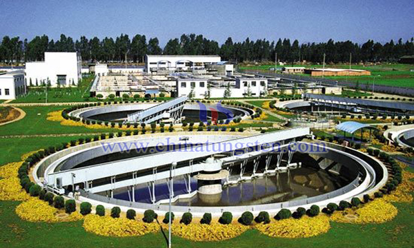 介孔纳米钼负载三氧化钨光催化剂图片 介孔纳米钼负载三氧化钨光催化剂图片
